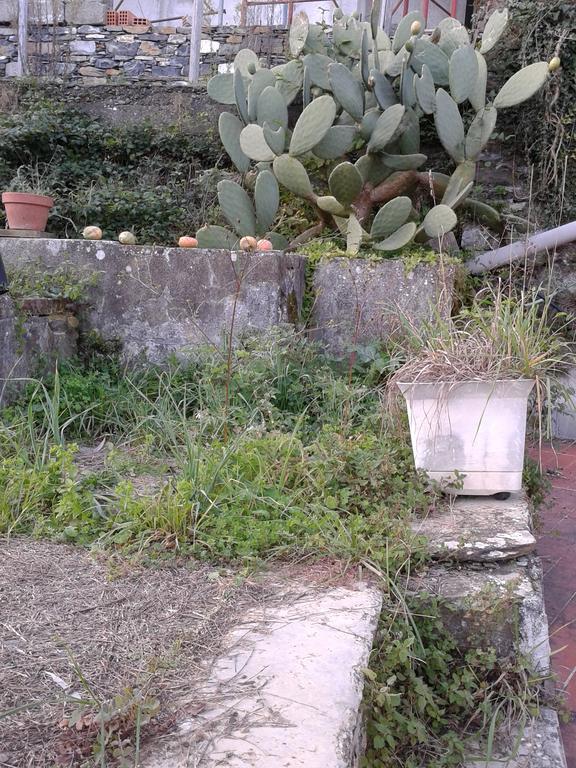 Rural House Rondini Hotel Camposasco Exterior photo